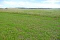 Property photo of 42-48 Pillinger Drive Tolga QLD 4882