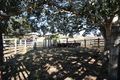 Property photo of 4 Jims Road Blenheim QLD 4341