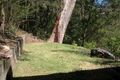 Property photo of 5 Sage Place Point Clare NSW 2250