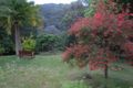 Property photo of 68 Ridgway Road Avoca Beach NSW 2251