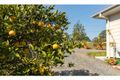 Property photo of 3773 The Bucketts Way Krambach NSW 2429