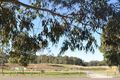 Property photo of 42 Maxwell Place Abbotsbury NSW 2176