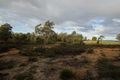 Property photo of 19 Possum Road Beaconsfield TAS 7270