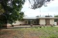 Property photo of 17 Partridge Road Loxton SA 5333