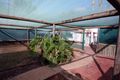 Property photo of 61 Tenth Street Renmark SA 5341