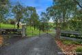 Property photo of 175 Nicholas Lane Kangaroo Ground VIC 3097
