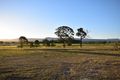 Property photo of 9 Tee Close Worrigee NSW 2540