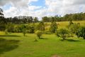 Property photo of 908 Nowendoc Road Mount George NSW 2424