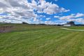 Property photo of 4 Jarrah Road Moore Creek NSW 2340