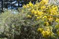 Property photo of 71 Penrose Road Bundanoon NSW 2578