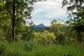 Property photo of 31 Hinchinbrook Road Burringbar NSW 2483