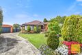 Property photo of 31 Holly Avenue Dandenong North VIC 3175