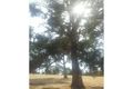 Property photo of 160 Holstein Loop Lower Chittering WA 6084