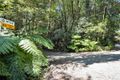 Property photo of 1 Wattle Grove Springbrook QLD 4213