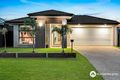 Property photo of 7 Hiddenvale Circuit Yarrabilba QLD 4207