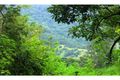 Property photo of 616 Tomewin Mountain Road Currumbin Valley QLD 4223