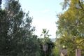 Property photo of 33 Northcott Drive Goonellabah NSW 2480