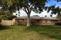 Property photo of 11 Carnegie Loop Cooloongup WA 6168
