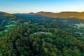 Property photo of 364 Tomewin Mountain Road Currumbin Valley QLD 4223