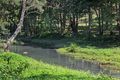 Property photo of 66 Coorabin Court Tallebudgera QLD 4228