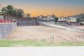 Property photo of 41 Carbeen Circuit Springfield QLD 4300