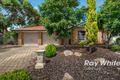Property photo of 12 Hedgerow Court Greenwith SA 5125