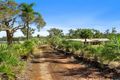 Property photo of 132 Parker Road Wells Crossing NSW 2460