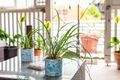 Property photo of 21 Thompson Street Deception Bay QLD 4508