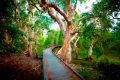 Property photo of 13 Pandanus Drive Horseshoe Bay QLD 4819