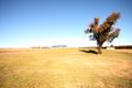 Property photo of 19 Marquess Place Murrumbateman NSW 2582