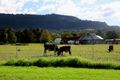 Property photo of 10 Lamonds Lane Meroo Meadow NSW 2540