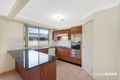 Property photo of 14 Macdougall Crescent Hamlyn Terrace NSW 2259
