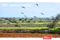 Property photo of 13 Strickland Street Kingston Se SA 5275