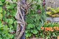 Property photo of 2 Lynette Place Belrose NSW 2085