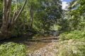 Property photo of 64 Mount Warning Road Mount Warning NSW 2484