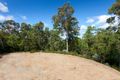 Property photo of 232 O'Brien Road Pullenvale QLD 4069