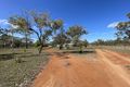 Property photo of 151 Back Creek Road Southern Cross QLD 4820