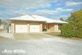 Property photo of 19 Hills Avenue Biloela QLD 4715