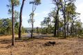 Property photo of LOT 4/702 Widdeson Street Nannup WA 6275