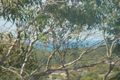 Property photo of 31 Ocean View Parade Charlestown NSW 2290
