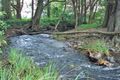 Property photo of 111 Gungas Road Nimbin NSW 2480