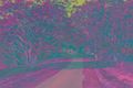 Property photo of 505 Tallebudgera Connection Road Currumbin Valley QLD 4223