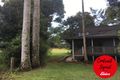 Property photo of 153 Merragallan Road Malanda QLD 4885