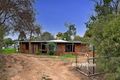 Property photo of 7 Lee Street Red Cliffs VIC 3496