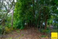 Property photo of 7 Tari Place Trinity Beach QLD 4879