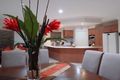 Property photo of 4 Red Ash Court Palmwoods QLD 4555