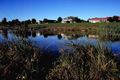 Property photo of 2 Yellow Gum Way Manor Lakes VIC 3024
