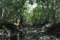 Property photo of 6 Latania Close Palm Cove QLD 4879