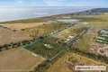 Property photo of 181 Button Road Sellicks Beach SA 5174