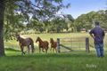 Property photo of 1205 Glendonbrook Road Glendon Brook NSW 2330